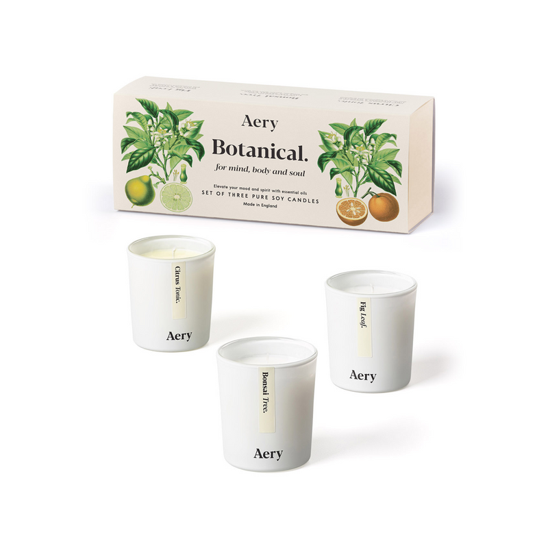 Botanical Votive Candle Gift Set - Fig Leaf, Bonsai Tree & Citrus Tonic