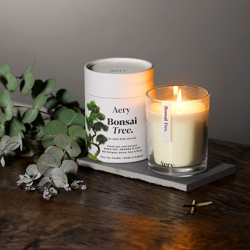 Bonsai Tree Candle - Birch Sap, Orange & Yuzu