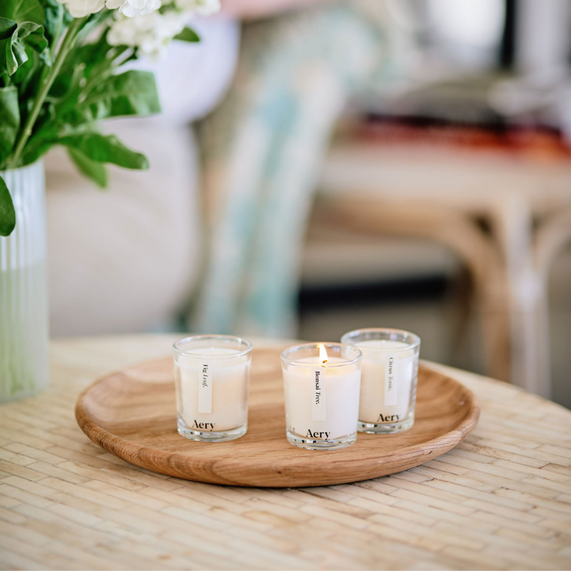 Botanical Votive Candle Gift Set - Fig Leaf, Bonsai Tree & Citrus Tonic